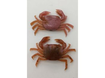 Съедобная силиконовая приманка структурированная солью Finesse Crab 6 штук 2,3X2,0см  4,2гр (SSB-004#FCR003)